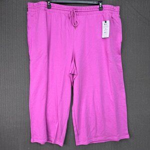 Terra & Sky 3X (24W-26W) TS Knit Capri Pants Orchid Shimmer